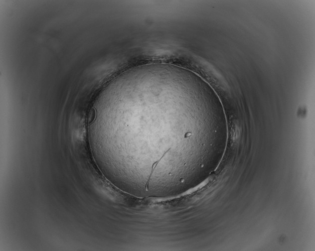 X0000101211204200807071330