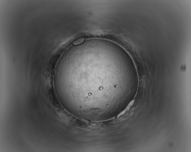 X0000101211205200807071330