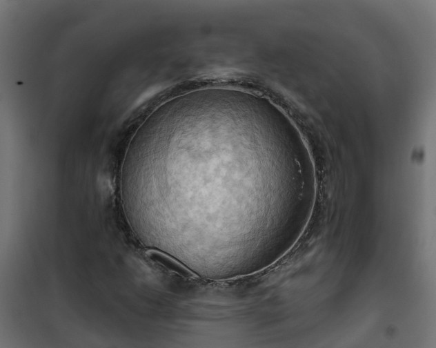 X0000101211206200807071330