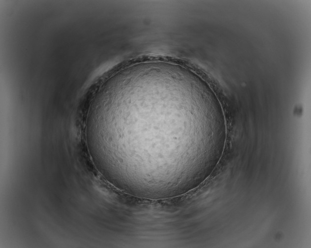 X0000101211207200807071330