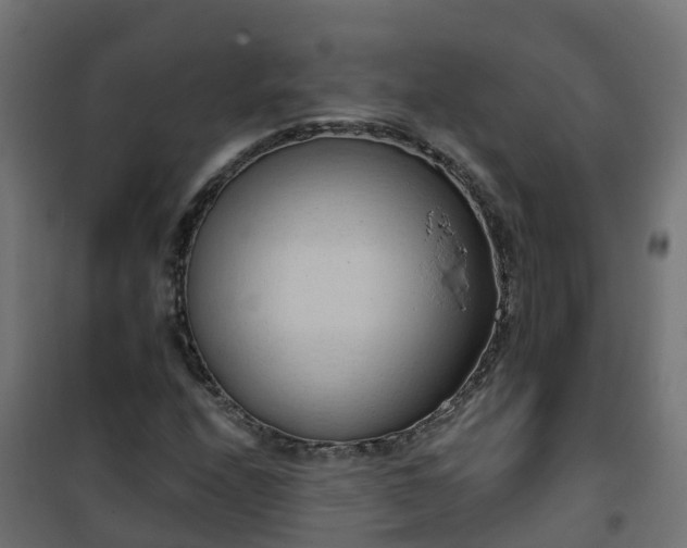 X0000101211208200807071330