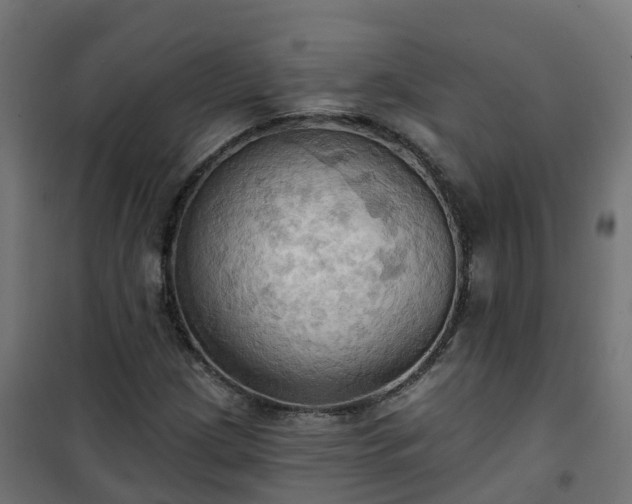 X0000101211209200807071330