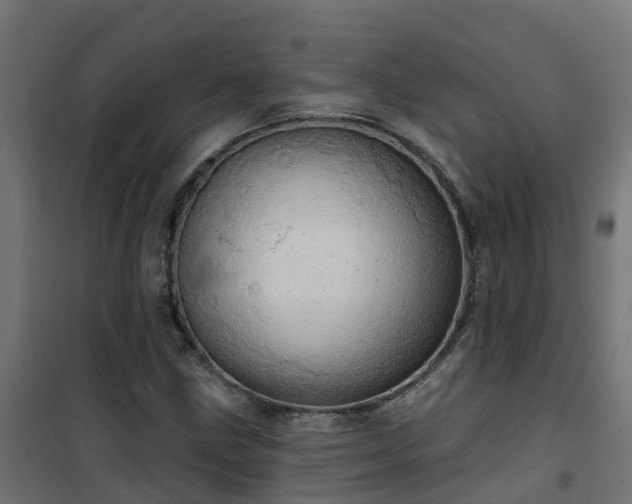 X0000101211211200807071330