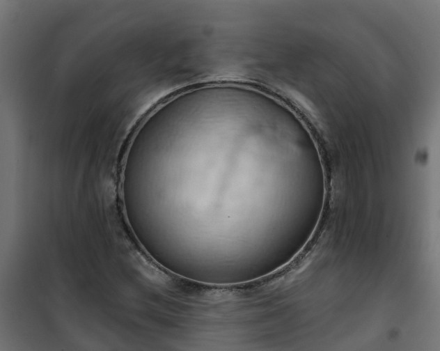 X0000101211212200807071330