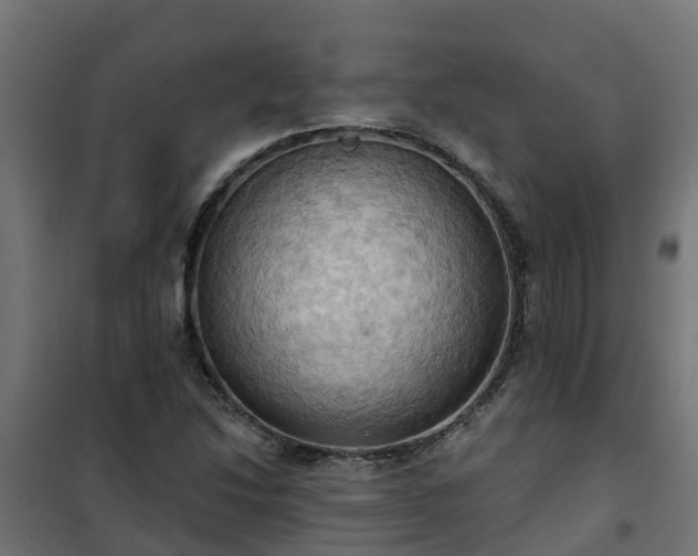 X0000101211214200807071330