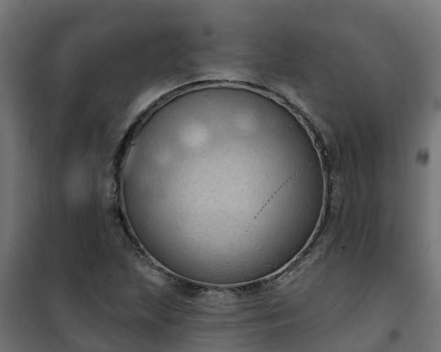 X0000101211215200807071330