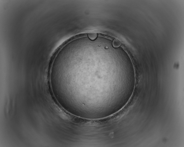 X0000101211216200807071330