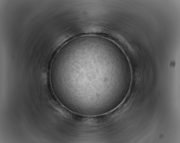 X0000101211217200807071330