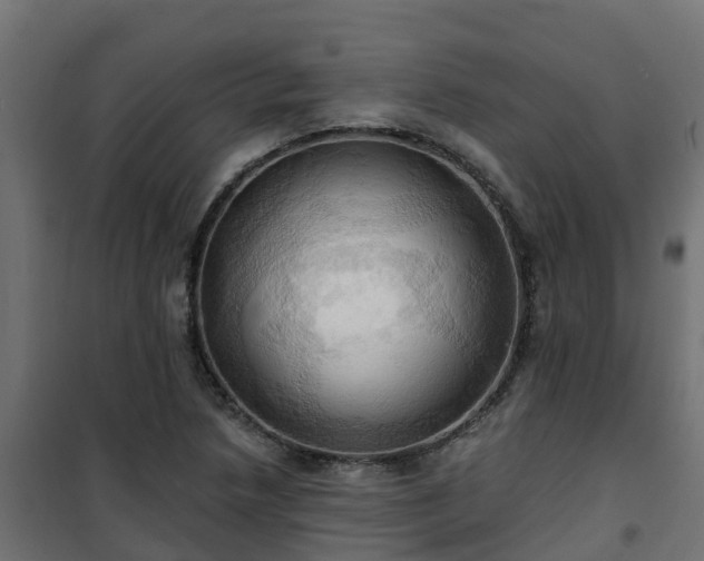 X0000101211218200807071330