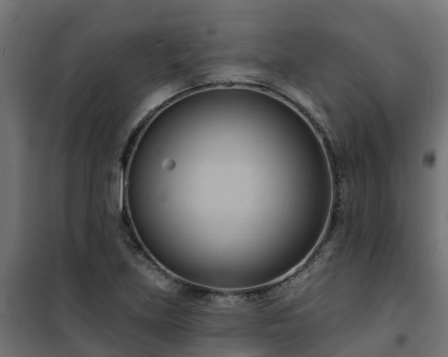 X0000101211219200807071330