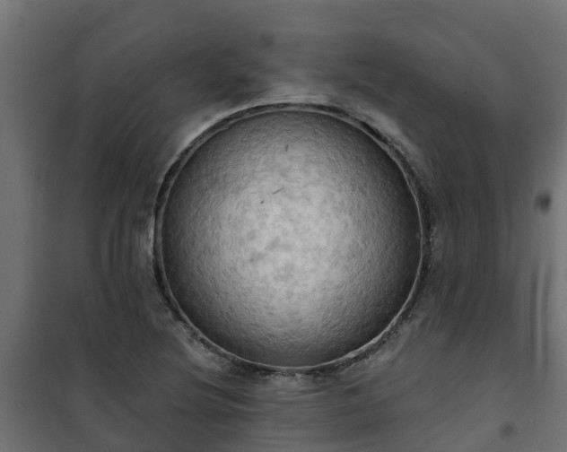 X0000101211220200807071330