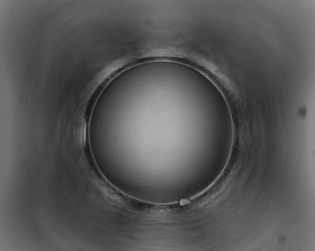 X0000101211221200807071330