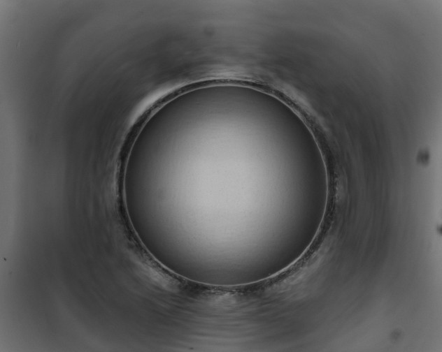 X0000101211222200807071330