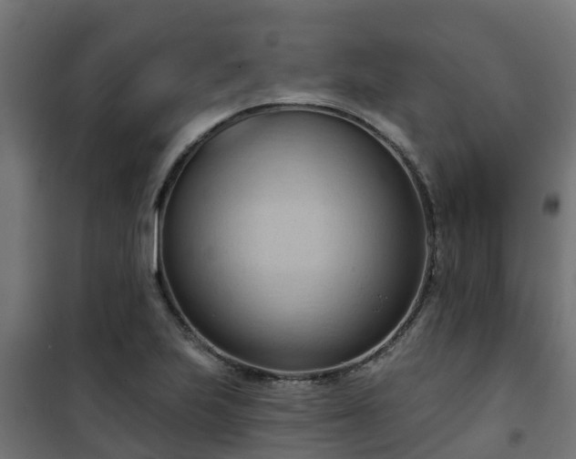 X0000101211223200807071330