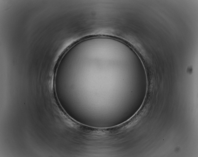 X0000101211224200807071330