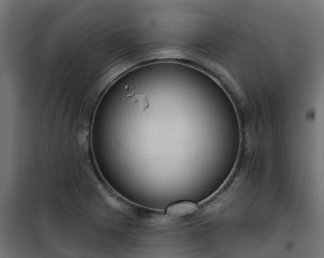 X0000101211225200807071330