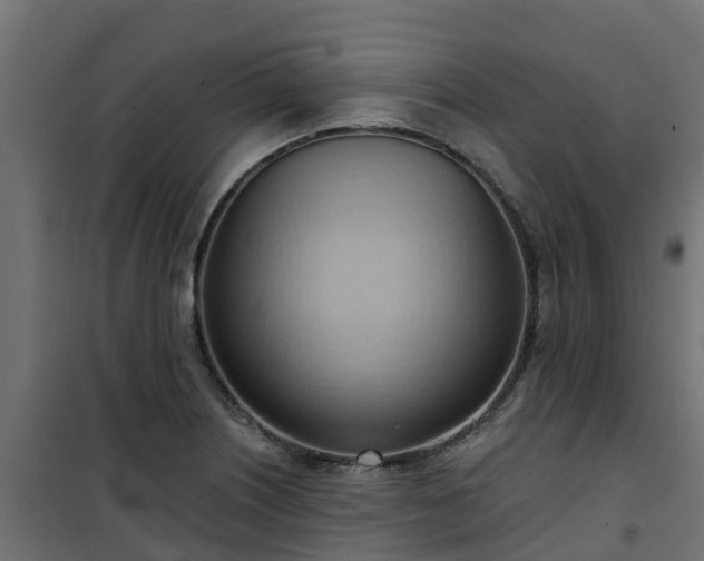 X0000101211226200807071331