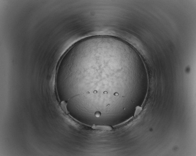 X0000101211228200807071331