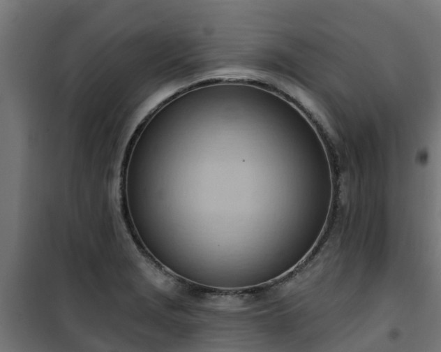 X0000101211229200807071331