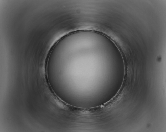 X0000101211230200807071331