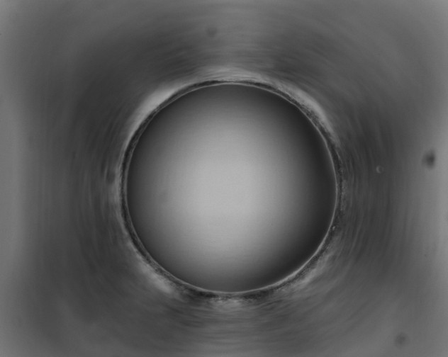 X0000101211231200807071331