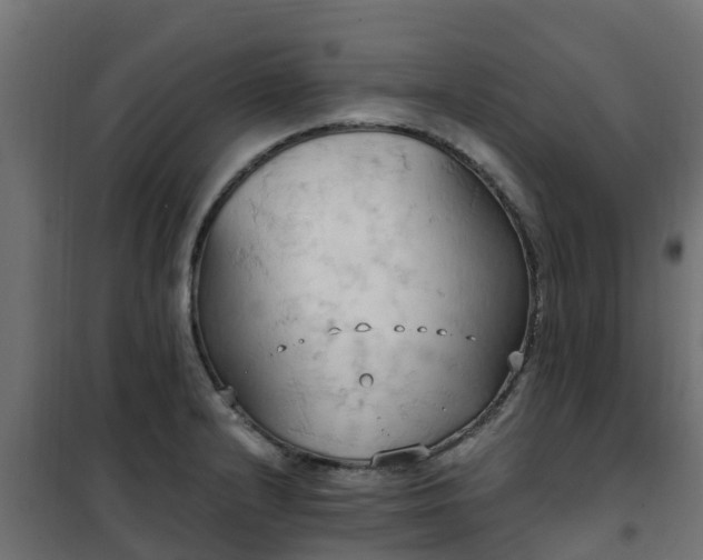 X0000101211232200807071331