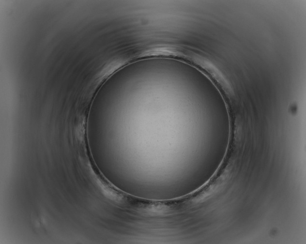 X0000101211233200807071331