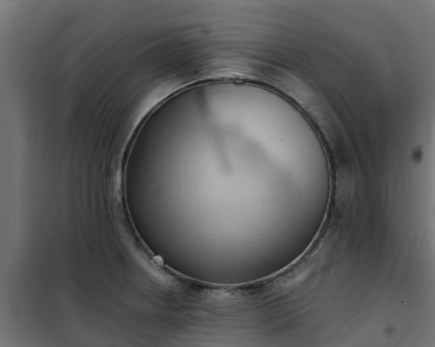 X0000101211234200807071331