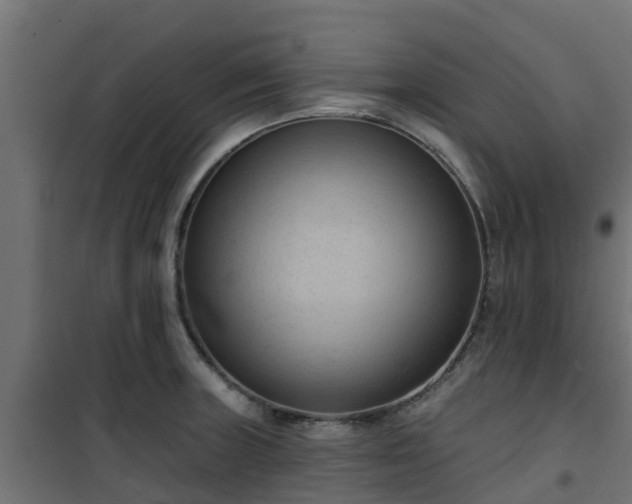 X0000101211235200807071331