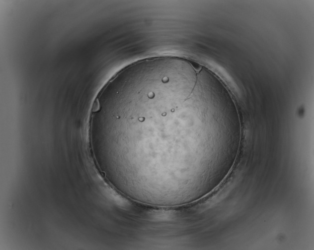 X0000101211236200807071331