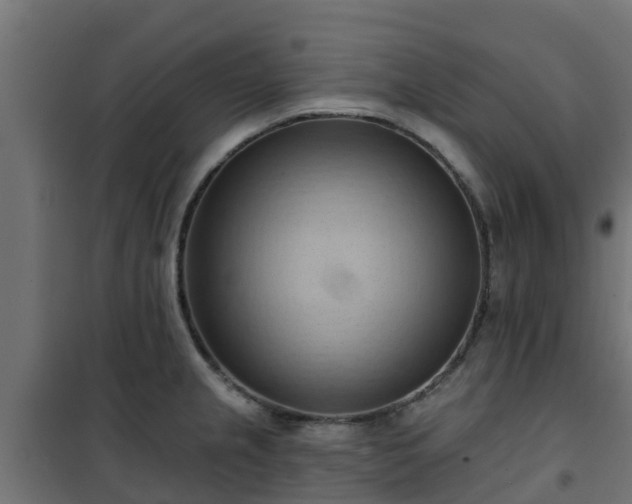 X0000101211237200807071331