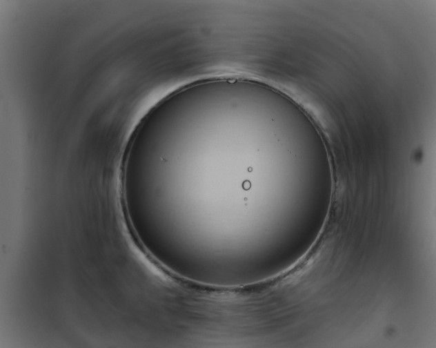 X0000101211239200807071331