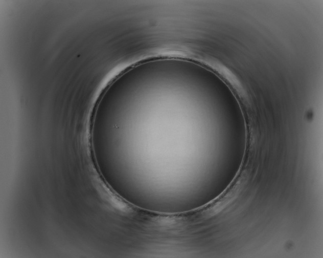 X0000101211240200807071331