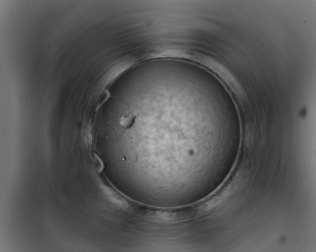 X0000101211241200807071331