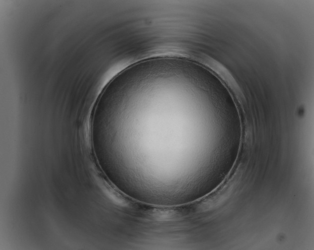 X0000101211242200807071331