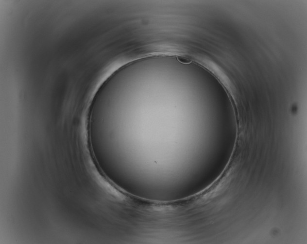 X0000101211243200807071331