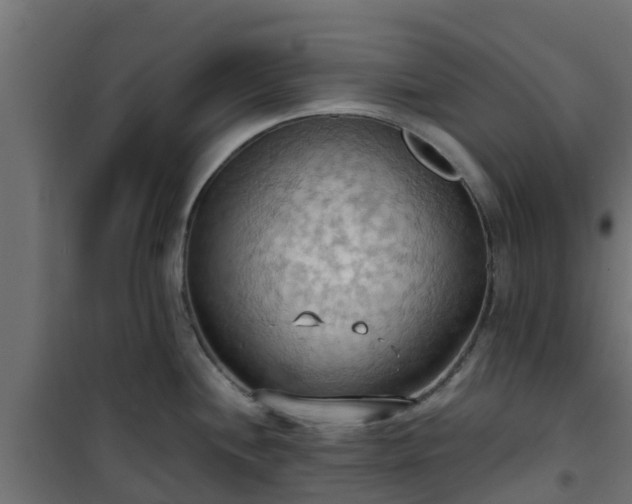 X0000101211244200807071331