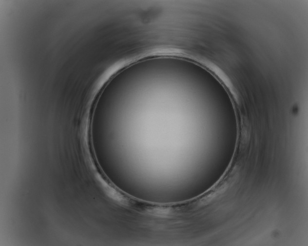 X0000101211245200807071331