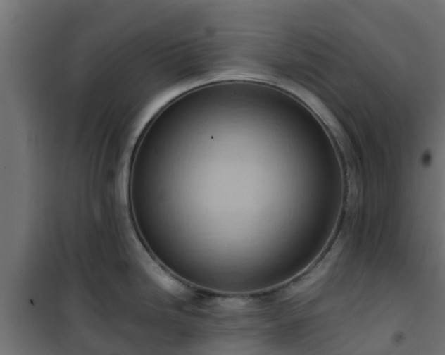 X0000101211246200807071331