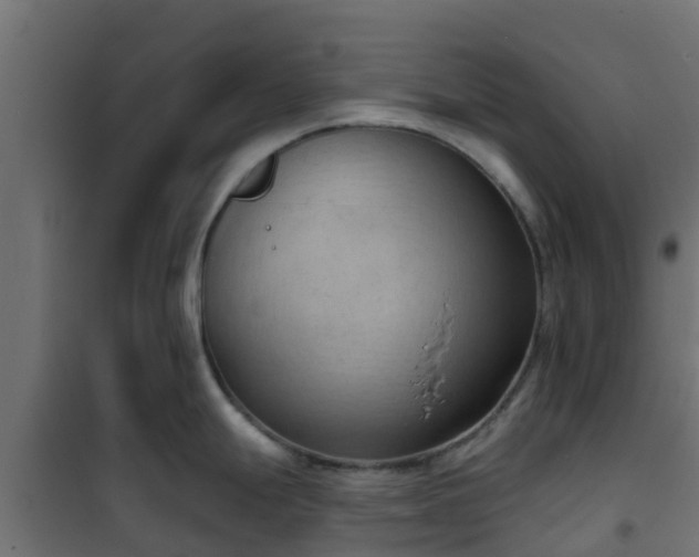 X0000101211247200807071331