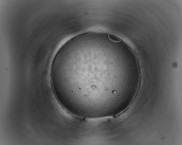 X0000101211248200807071331