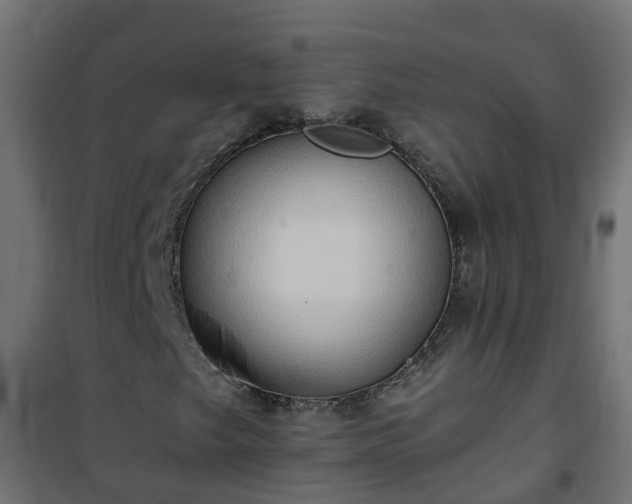 X0000101211249200807071330