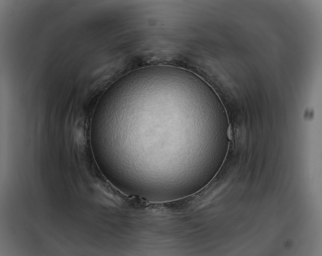 X0000101211250200807071330