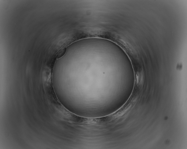 X0000101211251200807071330