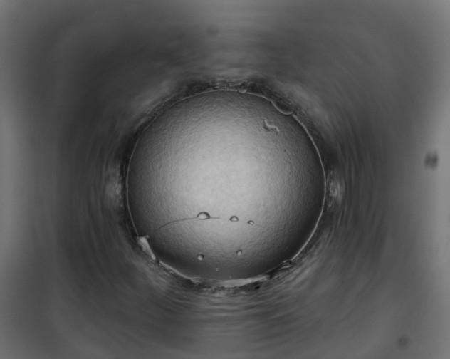 X0000101211252200807071330