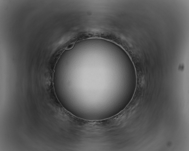 X0000101211253200807071330