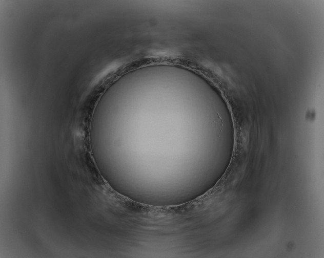 X0000101211254200807071330