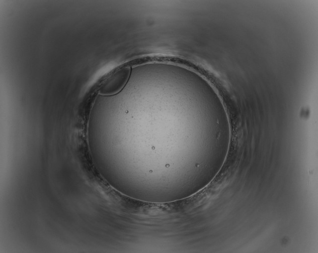 X0000101211255200807071330