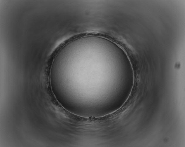 X0000101211256200807071330