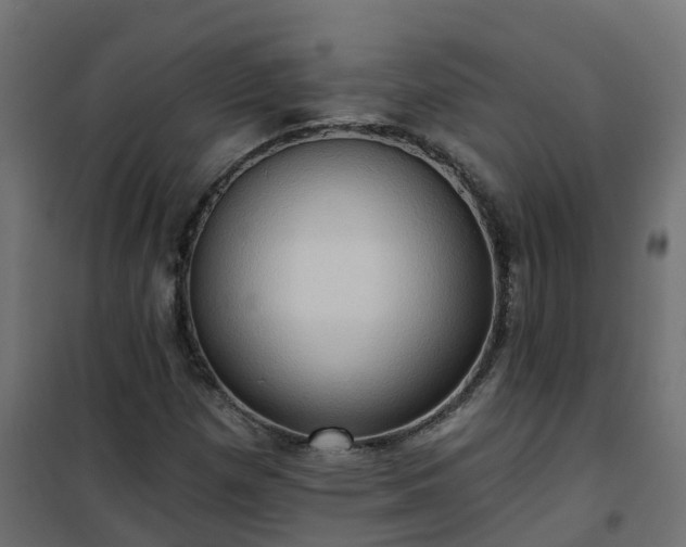 X0000101211257200807071330